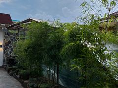 -山壹竹庭院餐厅
