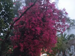 -深圳海景嘉途酒店(东翼楼)