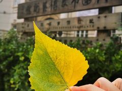 -日本风情街