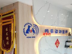 -恒幸动物医院·急重症转诊中心·神经内外科·CT核磁