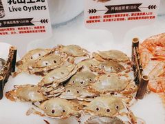 -金环海鲜自助(大坪时代天街店)