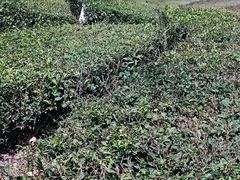 -东钱湖旅游度假区