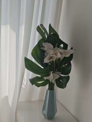 -春田皮肤管理中心品牌旗舰店