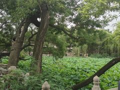 -莲池书院博物馆