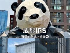 -成都大熊猫繁育研究基地