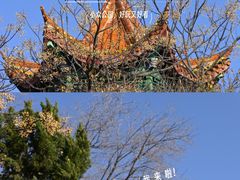 -中国翰园碑林