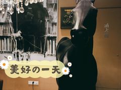 -苏浙总会(国金中心店)