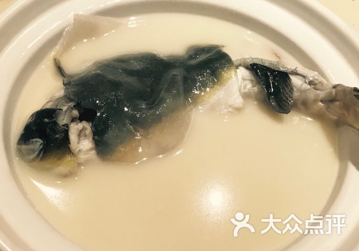 阿森鲍鱼rfc(总店)-图片-北京美食-大众点评网