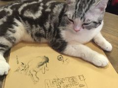 -共舞时光猫咖·狗咖(新街口店)