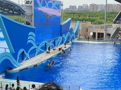 -上海海昌海洋公园
