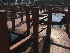 -才村湿地公园