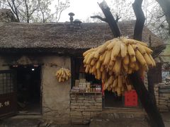 -井塘古村
