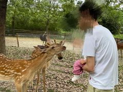-秀丽东方