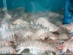 -Sasa的海(蜈支洲岛后海店)