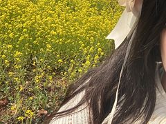 -九龙湖公园