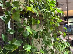 -必胜客(漕宝路店)