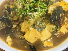 -全乐鱼馆·淳牌有机鱼直营店