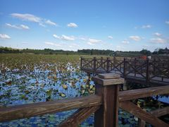 -上海海湾国家森林公园