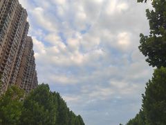 -衡厨(中南店)