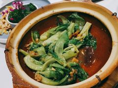 粤式虾膏啫生菜-尚一汤 广东炖汤(金桥国际店)