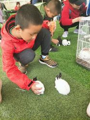 -萌宠亲子动物乐园(槐房万达店)