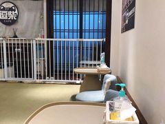 -逗柴咖啡屋·狗咖猫咖宠物桌游