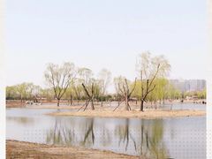 -大兴滨河森林公园