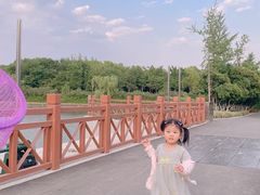 -皇粮浜湿地公园