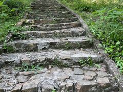 -上海佘山国家森林公园天马山园