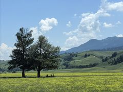 -新疆那拉提国家旅游度假区