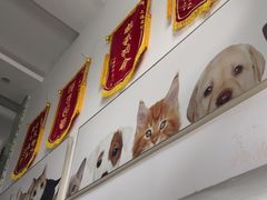 -爱侣宠医·鹦鹉专科·小型哺乳类·异宠专科(灵石路店)