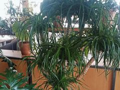 -云里小坐·海泉湾·团建·宴席·下午茶(金堂海泉湾店)