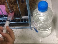 -瑞鹏宠物医院·夜间急症·心超·猫科(祖庙分店)