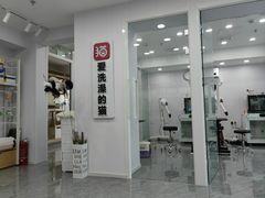 -爱洗澡的猫(望京店)