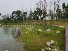 -白鹭湾湿地公园