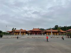-三水森林公园