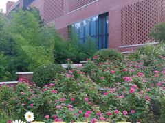 -清华大学-清芬园