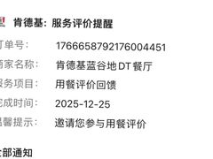 -肯德基(蓝谷地DT店)