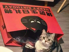 -烤匠麻辣烤鱼(青羊万达店)