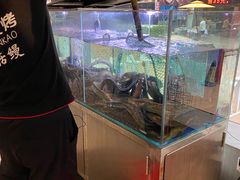 -本炙炭烤·蒲烧活鳗料理店(金沙洲店)