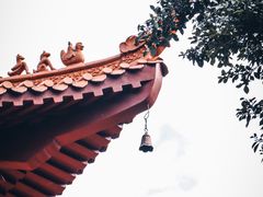 -深圳仙湖植物园