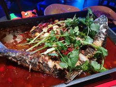 -长沙猫歌音乐餐厅(湖南女子大学店)