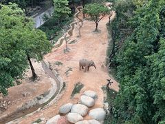 -广州长隆野生动物世界