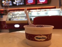 蓝莓冰激凌-哈根达斯(扬州瘦西湖店)