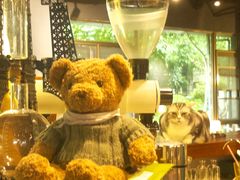 -咖法森林·咖啡  酒吧(天河店)