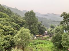 -Local泰莲庭(虹鳟鱼店)
