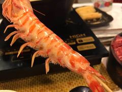 -鲜入围煮花胶鸡海鲜火锅