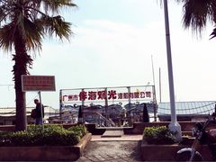 -大湾区中央湿地公园-十九涌