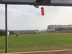-迪茵湖田家舍生态农场