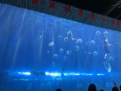 -华夏文旅海洋公园